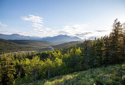 Beautiful open land in rural Alberta with mountains in the background.