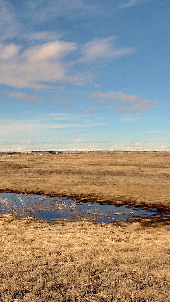 Airdrie, Calgary NW, Bears Paw, Big Hill Springs, Symons Valley, Rocky